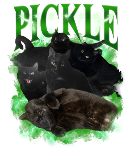 pickle.png