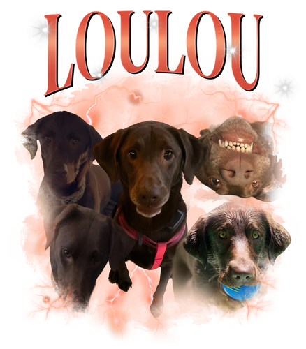 loulou.png