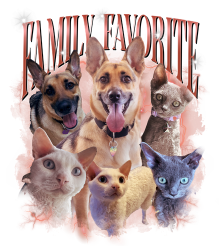 Family Favorite.png