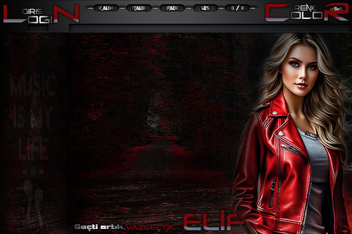 ArSeN VAZGEÇTİK BAYAN TEMA ELİF.jpg