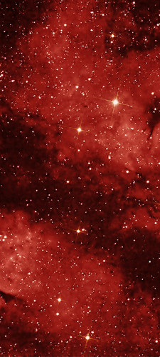 wallpapersden.com swan lbn 274 space 720x1600.jpg