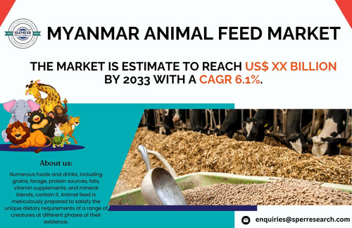 Myanmar Animal Feed Market.jpg