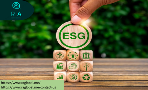 Sustainability Report Assurance.png