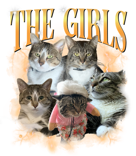 3132969240.png