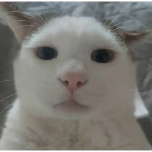 undefined.png