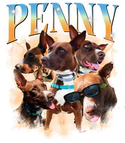PENNY.png