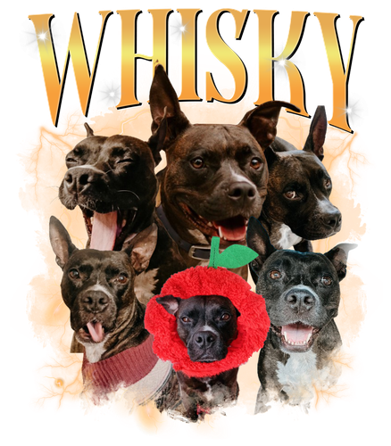 Whisky 2.png
