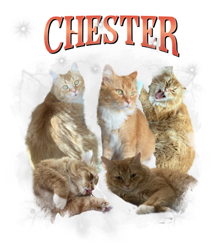 chester.png
