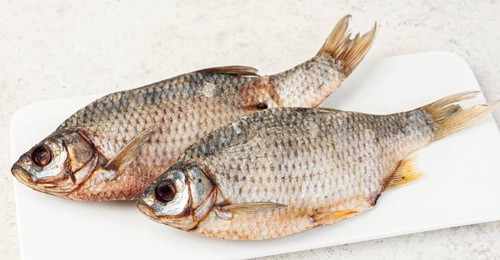 photo 2023 12 07 16 22 49 (3).jpg