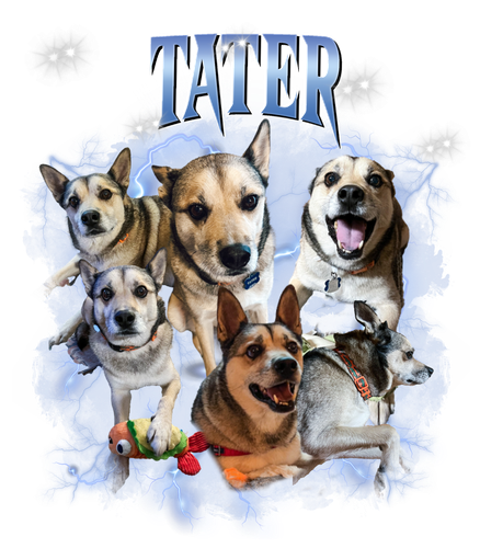 tater.png