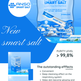 ANSO smart salt manufacturer.vn