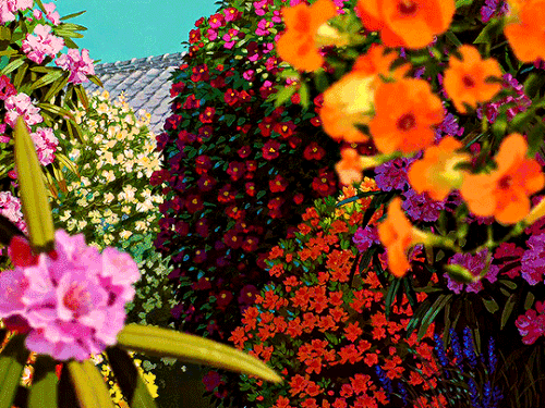 360bfaa02910f69d7bb412f94ec3018d.gif