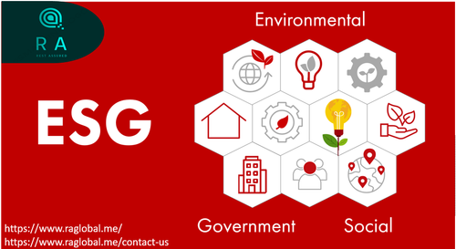 ESG REPORT ASSURANCE.png