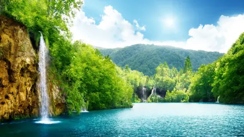 nature.webp