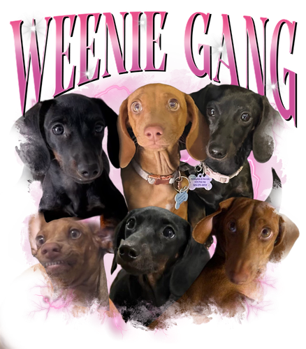 Weenie Gang.png