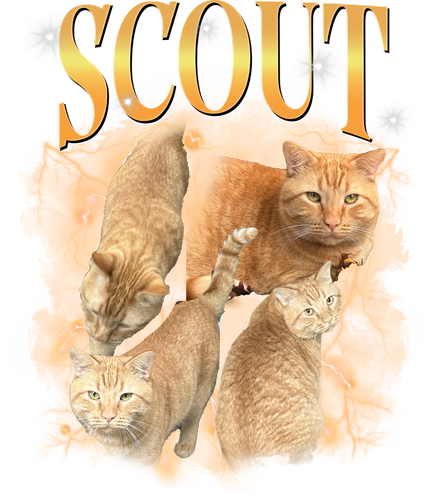 scout.png