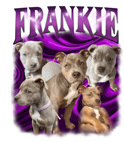 franka.png