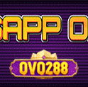 POPUP 01
