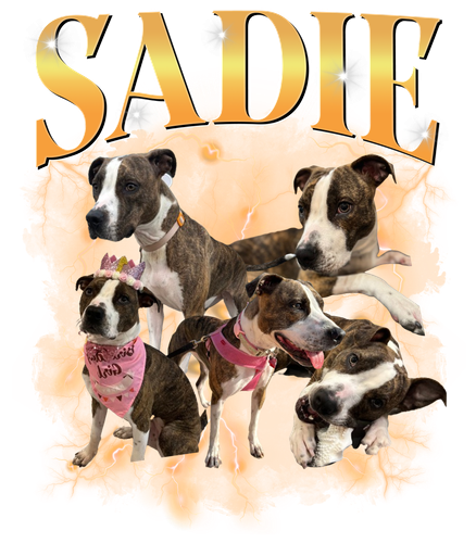 Sadie.png