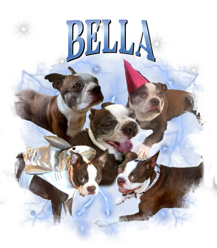 bella.png