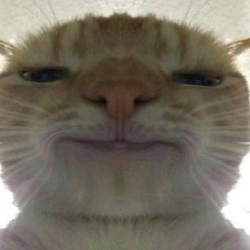 7773.png