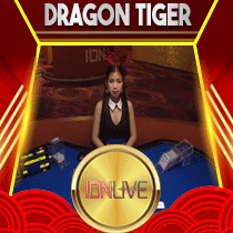 DRAGON TIGER.gif