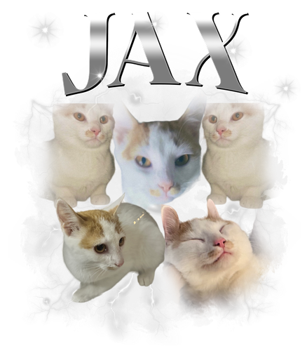 jax.png