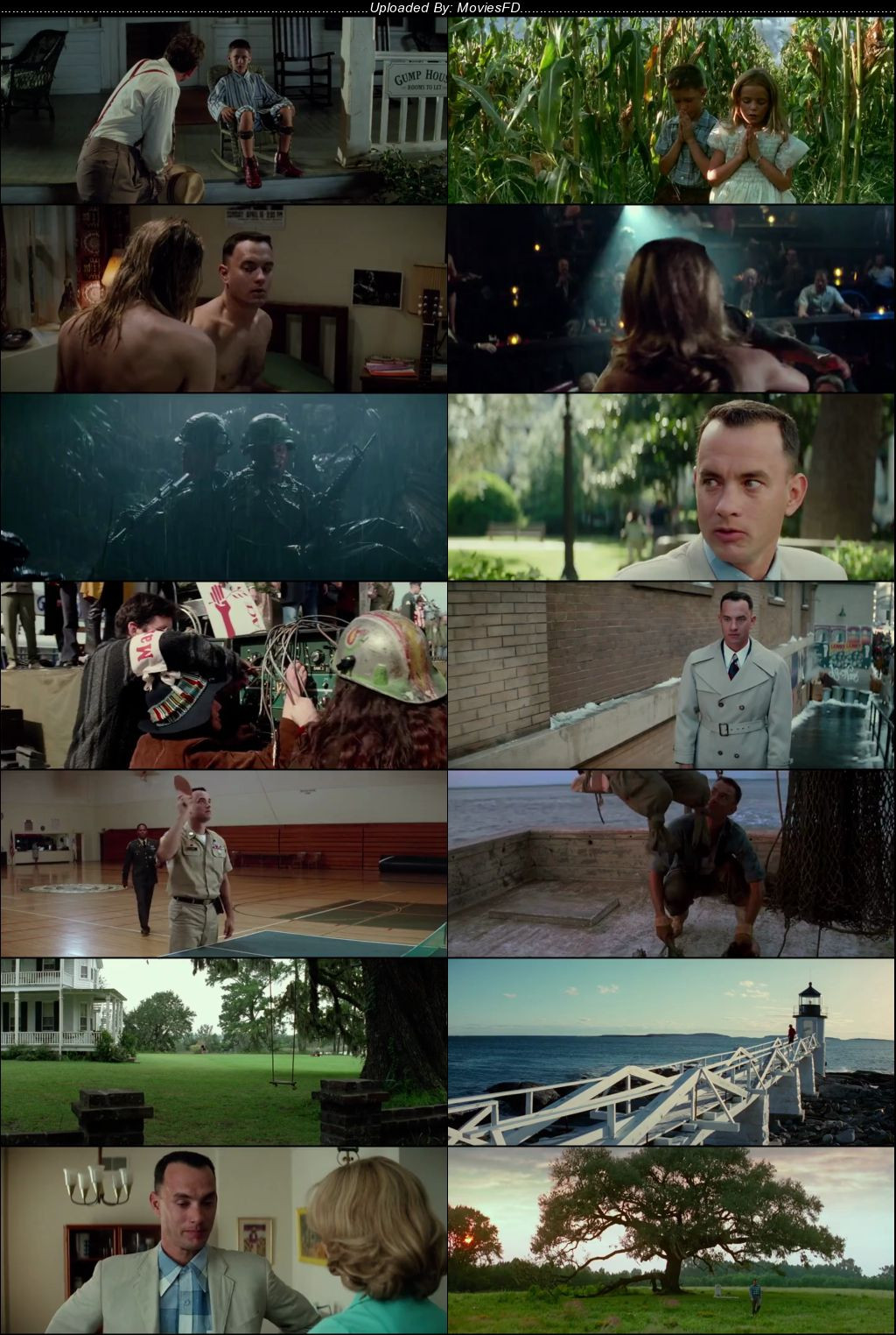 Download Forrest Gump (1994) BluRay [Hindi + English] ESub 480p 720p