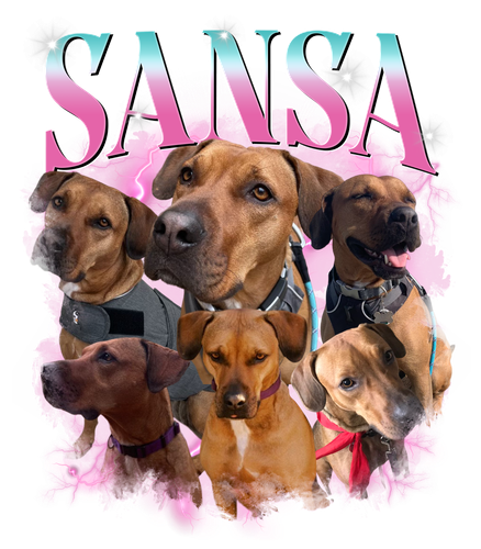 Sansa.png