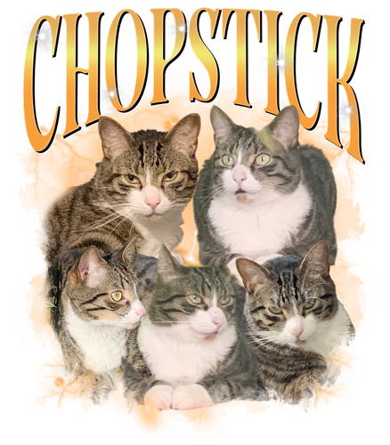 3129498309 HM1711 1.png