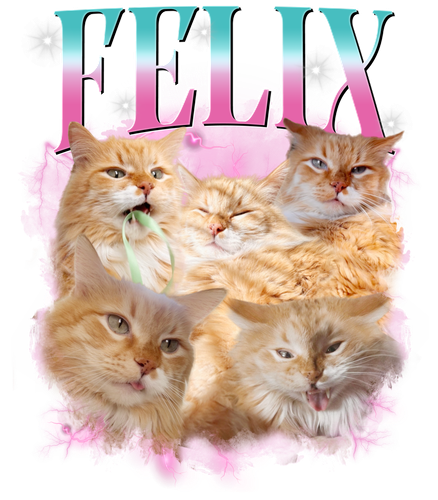 3127456187.png