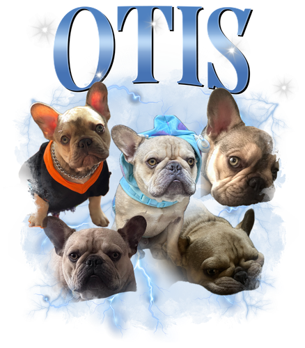 Otis.png
