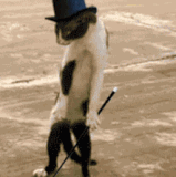 ezgif 1 13746838c6.gif