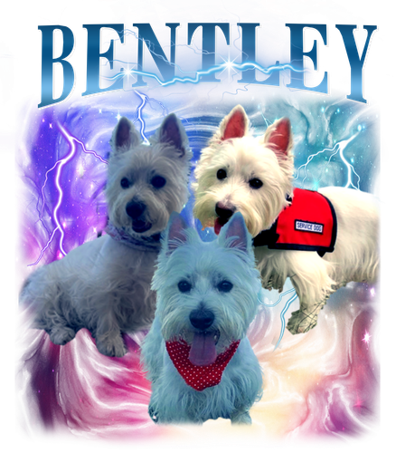 bentley.png