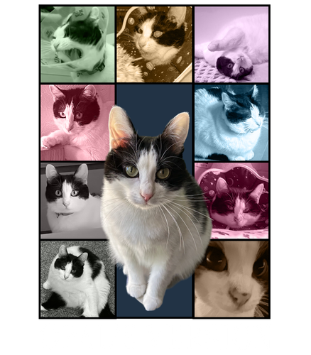 Opal’s version (4200x4800).png