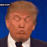 music donaldtrump (2).gif