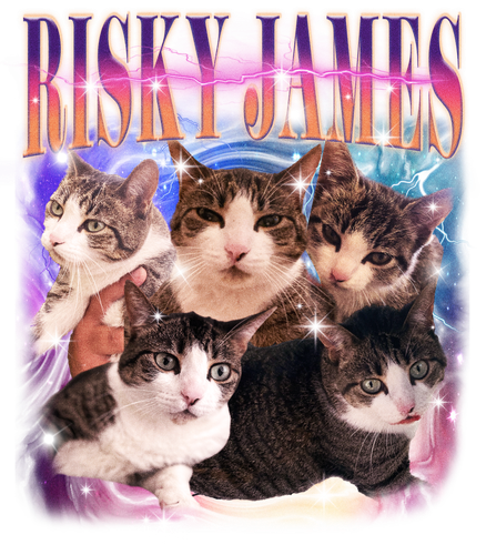 3131700611 (1).png