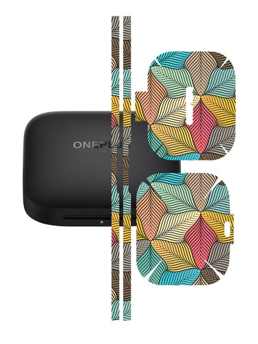 Buds 2 Pro Autumn.jpg