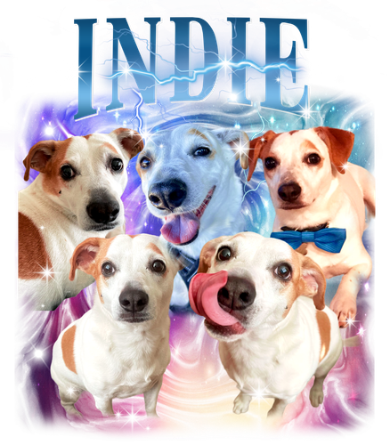 3145536330 INDIE + 6 +f1.png