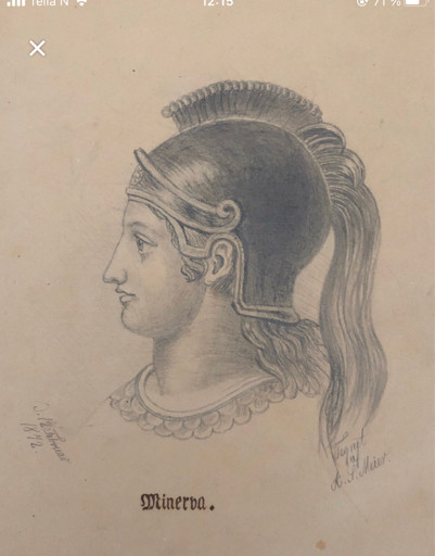 798c8aa45262.jpg