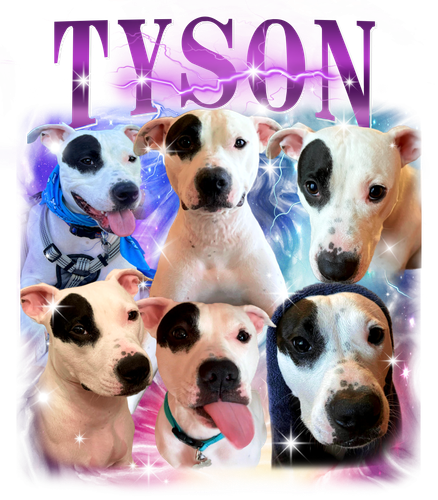 3136511293 Tyson 9 PURPLE + F1.png