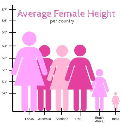 avg female height.png