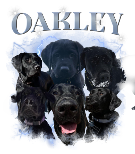 OAKLEY.png