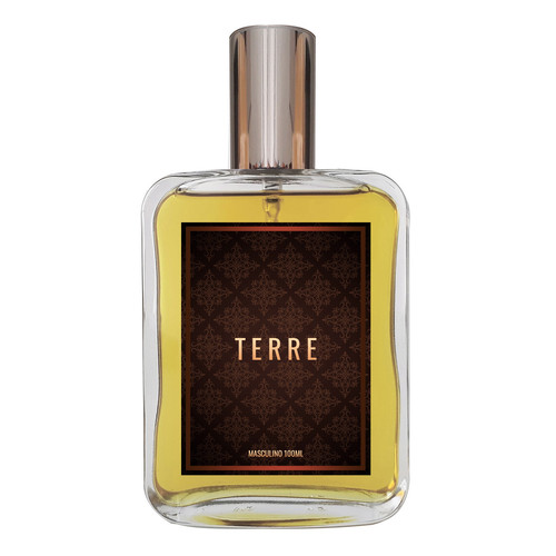 Perfume Masculino Terre 100ml Frasco.jpg