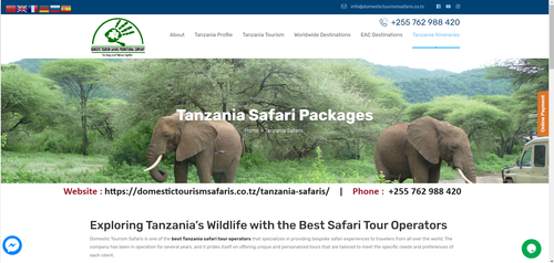 Best Tanzania Safari Tour Operators Domestictourismsafaris.png
