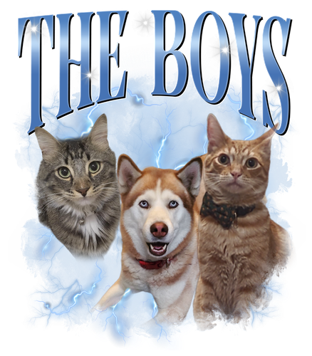 3137265042.png