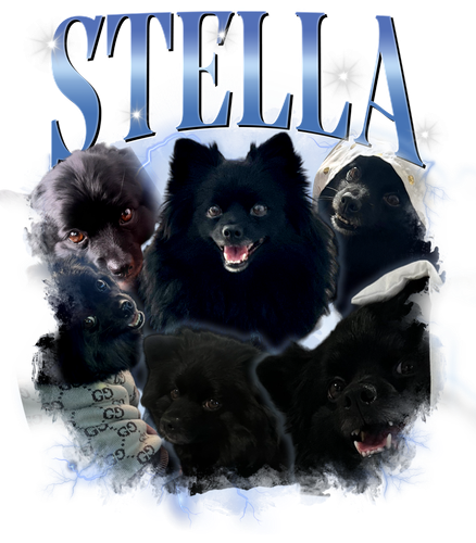 stella 9.png