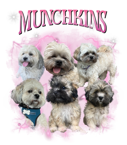 munchkins.png