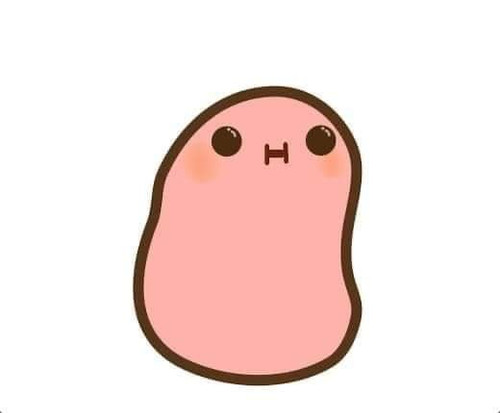 FB IMG 1702367843642.jpg