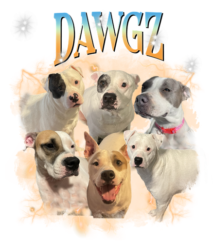 dawgz 11.png